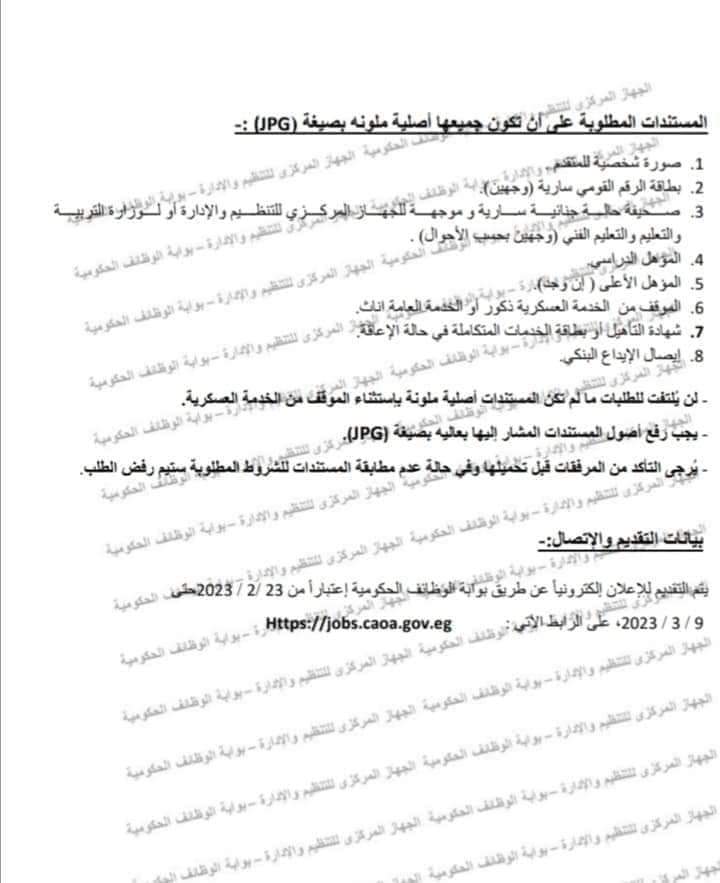 FB_IMG_1675931997579