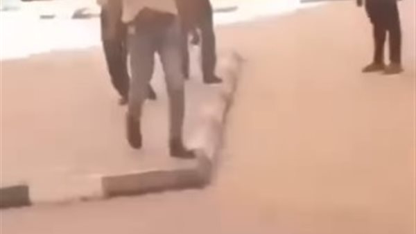 حبس طالب جامعة سوهاج